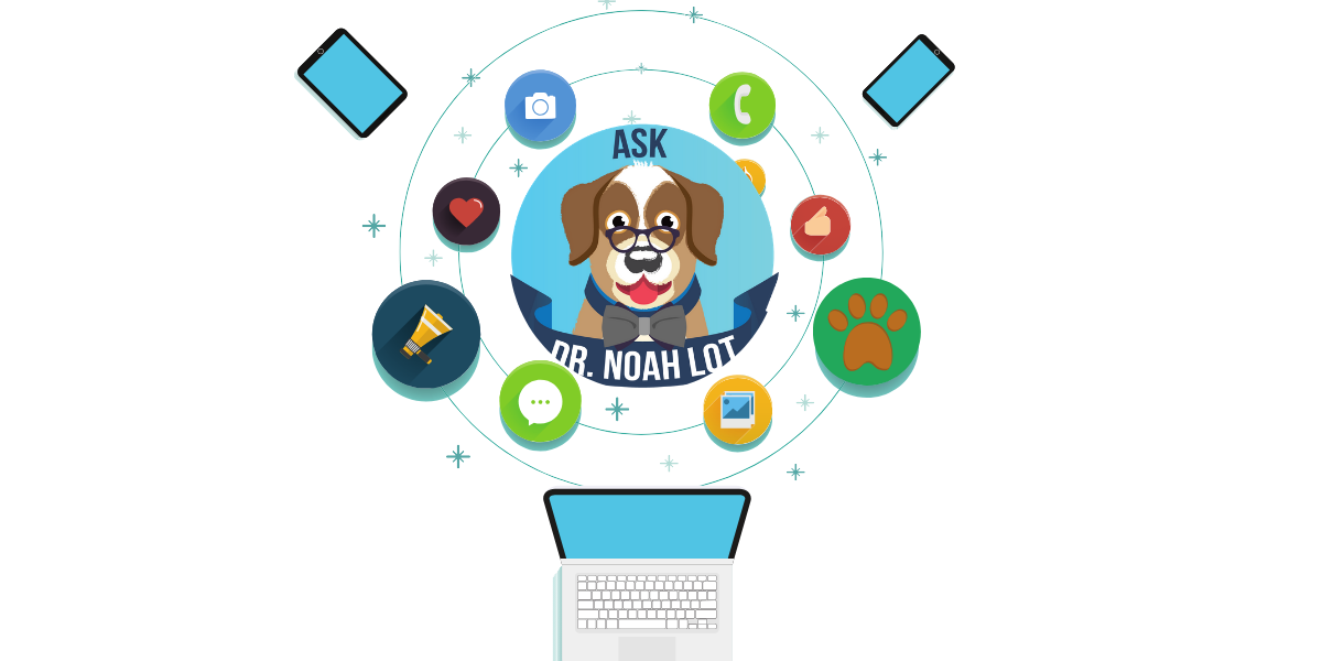 Ask Dr. Noah Lot - How to increase your veterinary specialty practice social media following