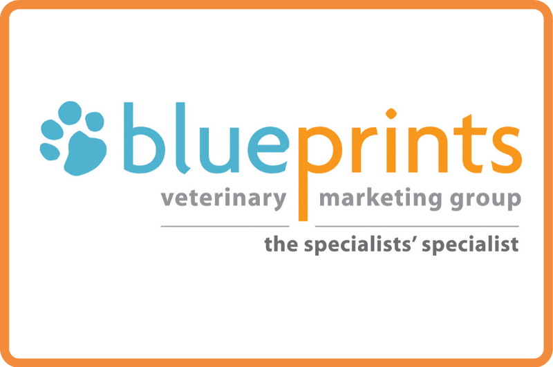 Image: BluePrints Veterinary Marketing Group Announces Organizational Changes  to Meet Growing Demand for Strategic Marketing and Management Services