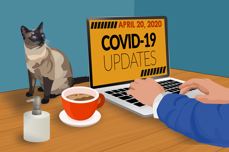 Image: Best Practices for Marketing Your Veterinary Practice During COVID-19