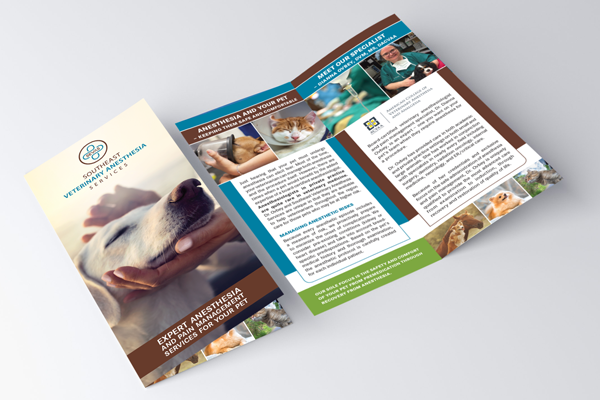 Should our referral practice still print brochures even though most of our information is on our website