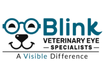 Image: Blink Veterinary Eye Specialists