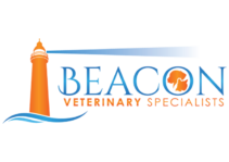 Image: Beacon Veterinary Specialists