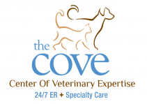 Image: Center Of Veterinary Expertise – COVE