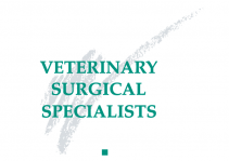 Image: Veterinary Surgical Specialists