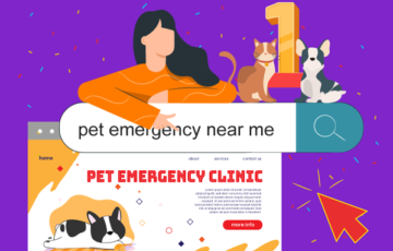 Image: How to Get Your Veterinary Practice to Rank on Page 1 of Google